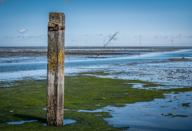 Waddenzee