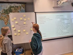 Oorzaak-gevolgschema gebruikt in denkklassen