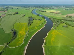 Hanssenn