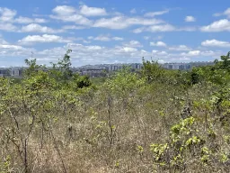 Cerrado Brazilië