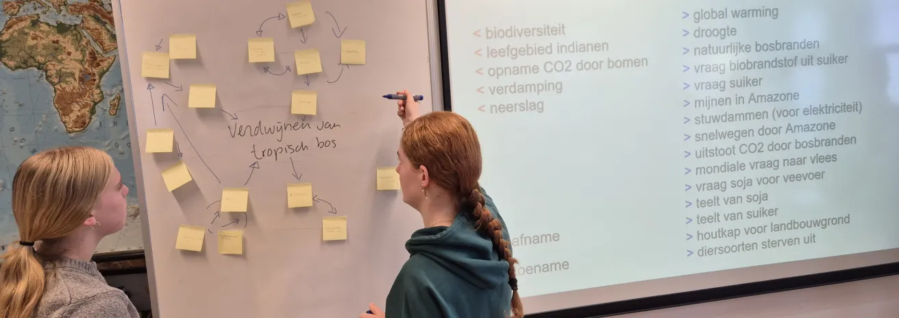 Oorzaak-gevolgschema gebruikt in denkklassen