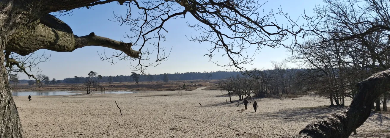 Loonse en Drunense Duinen