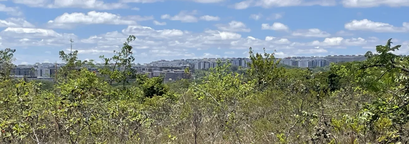 Cerrado Brazilië