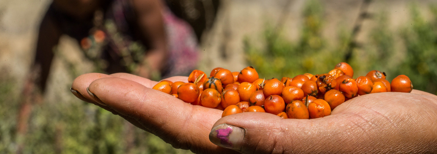 agribusiness