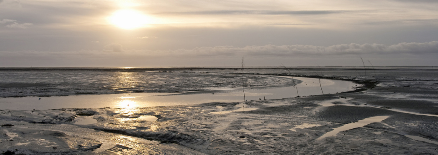 Waddenzee