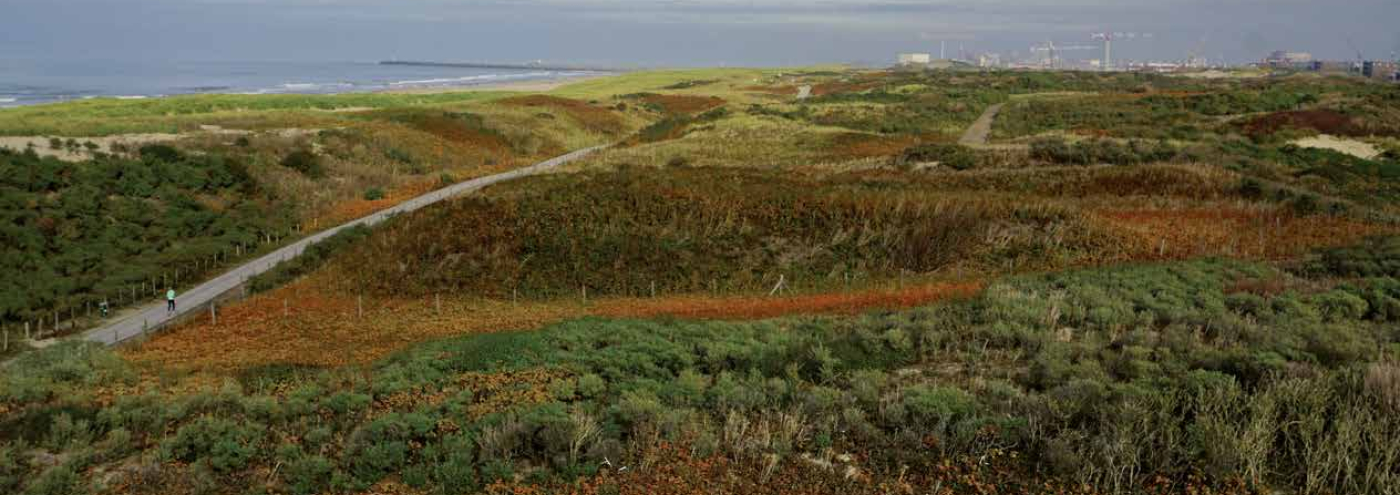 duinen