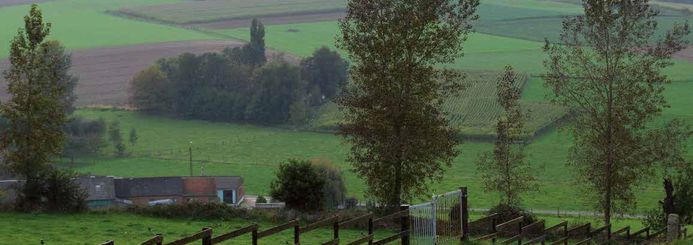 vlaanderen