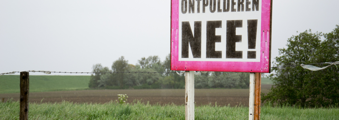 Hedwigepolder