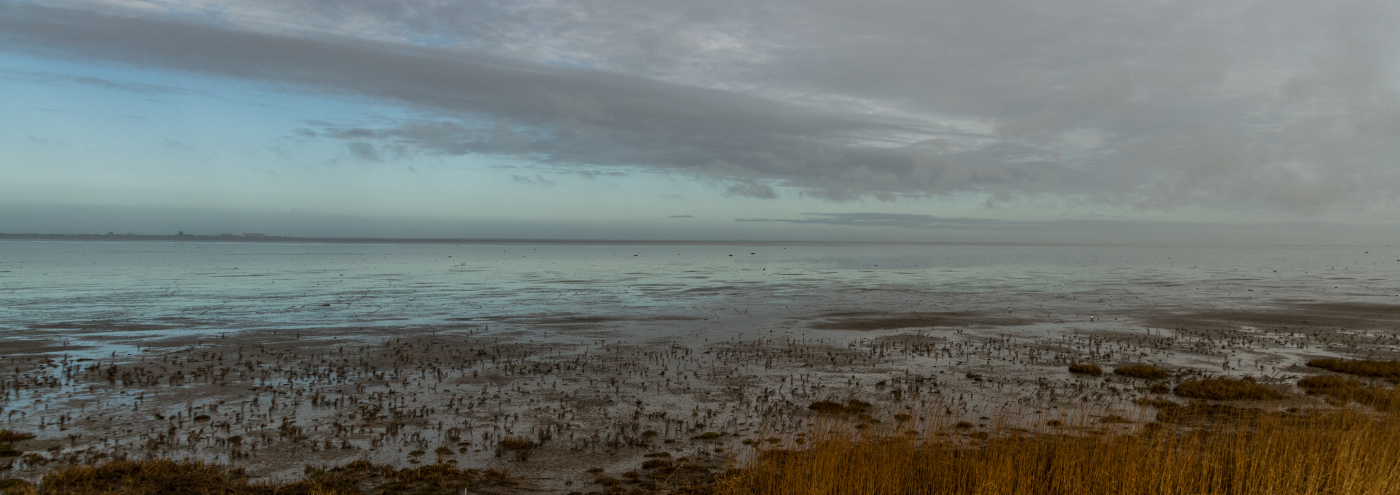 Wadden