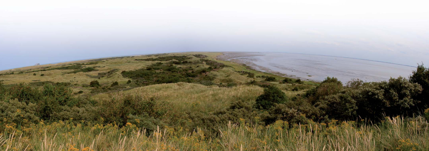 Ameland