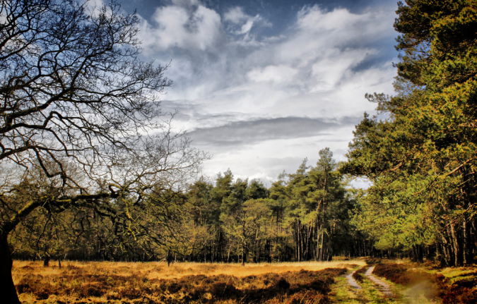 Veluwe