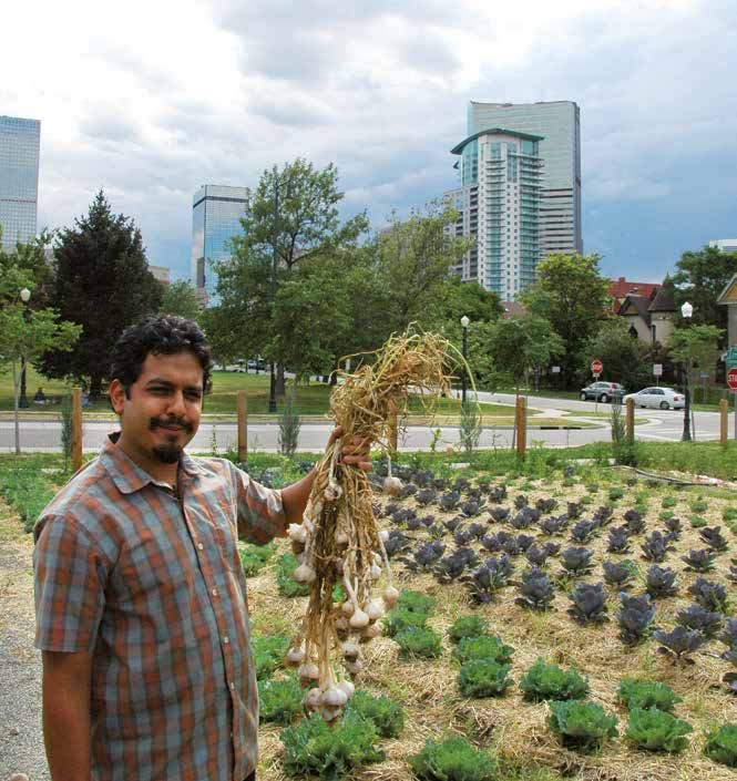 MoonDog Community Farm Denver