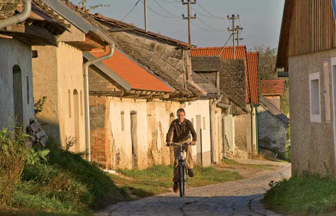 Kellergasse, Weinviertel