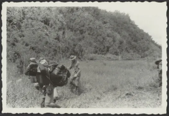 Nieuw-Guinea expeditie
