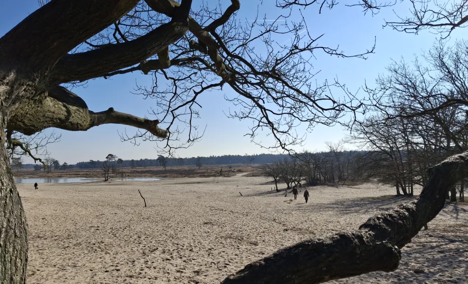 Loonse en Drunense Duinen
